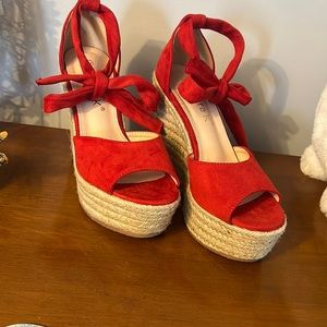 Red wedges